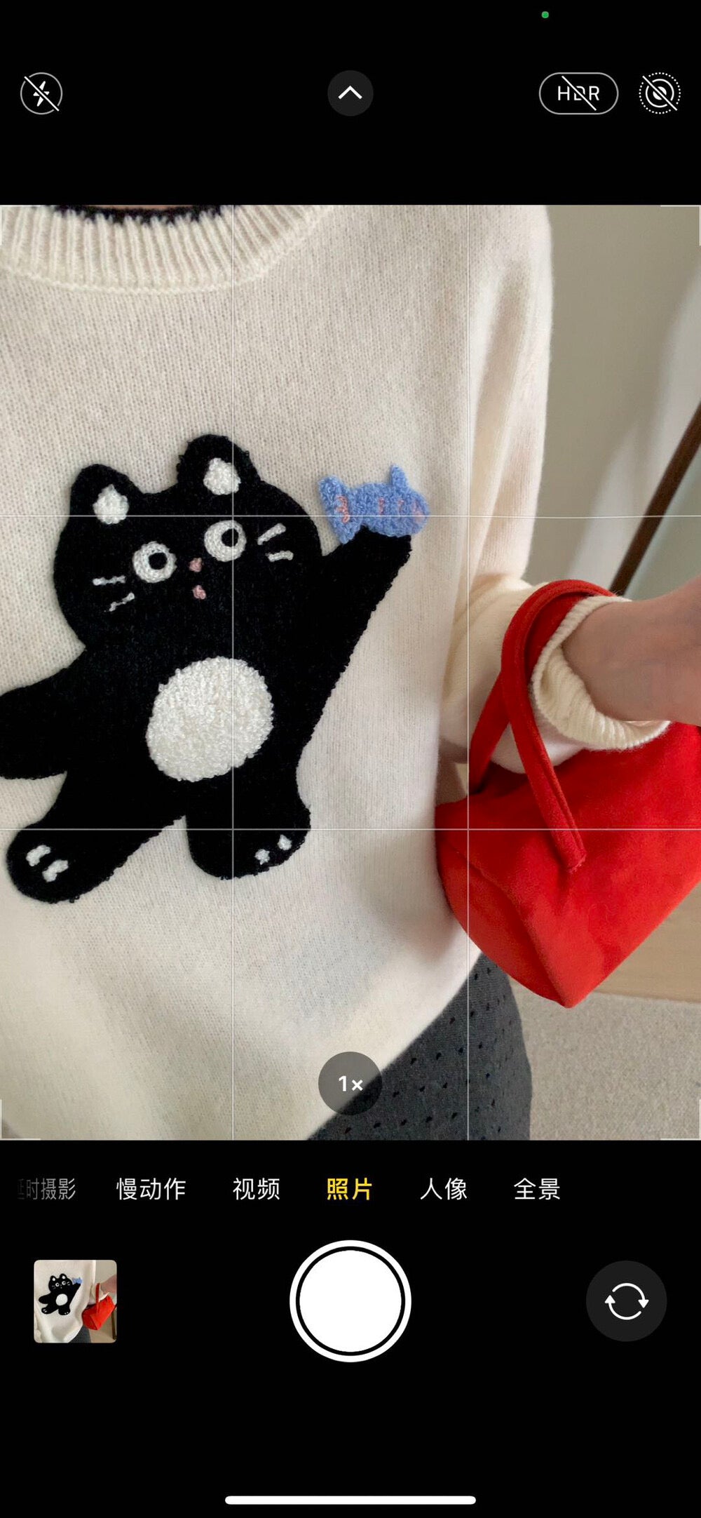 Kelly Designs 100% Wool Cat Knit Sweater (2 Colors) - (Instock)