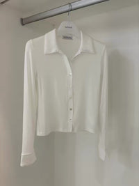 Korean APM Collection Sheer Collar Button Long Sleeve Top (Instock)