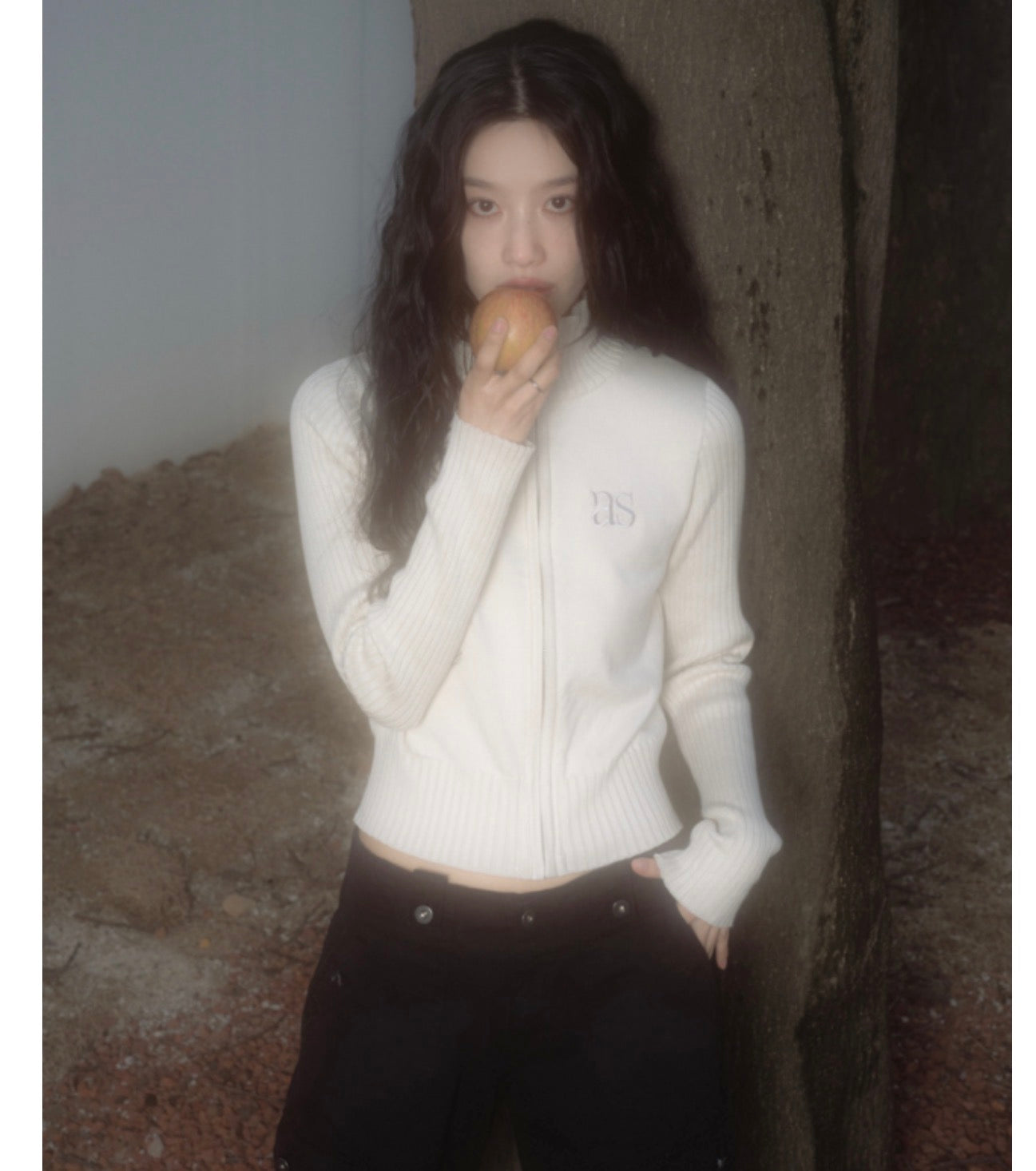 Ason Maron Knit Zip-Up – Beige (Instock)