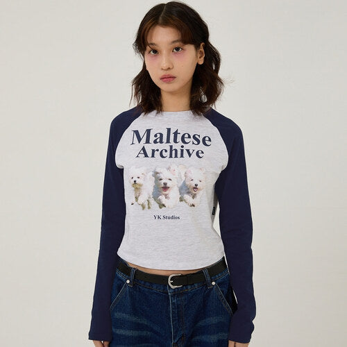 Waikei Maltese archive raglan long sleeve tshirts MELANGE WHITE (Preorder)