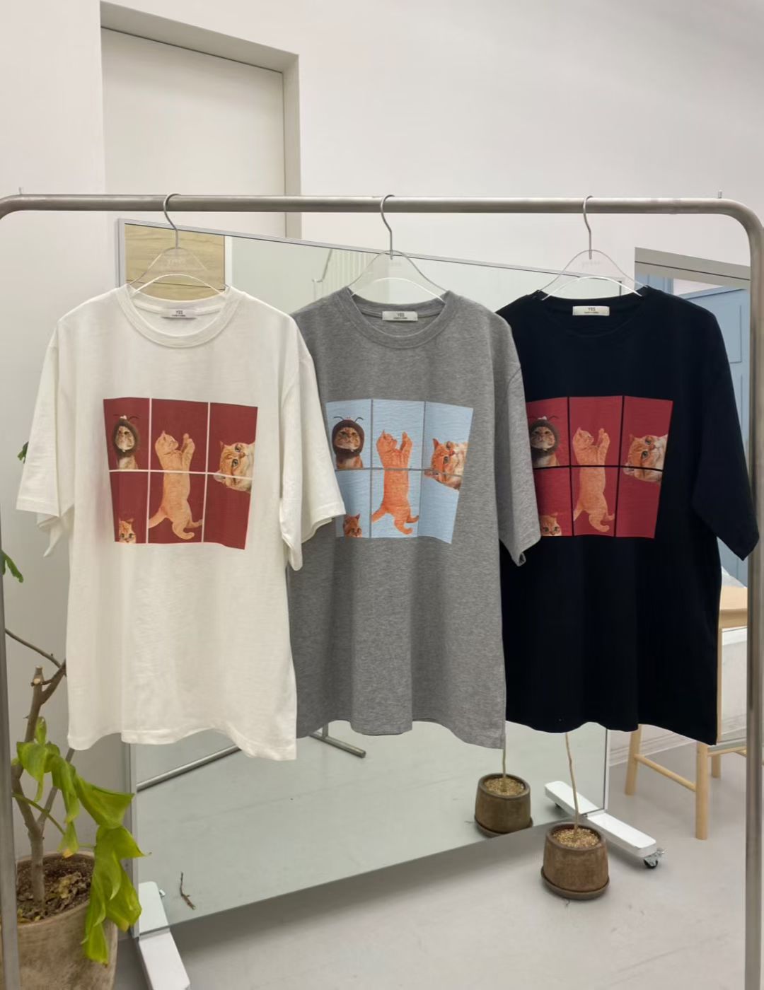 Korean APM Collection Kittens Tshirt-3 Colors (Instock)