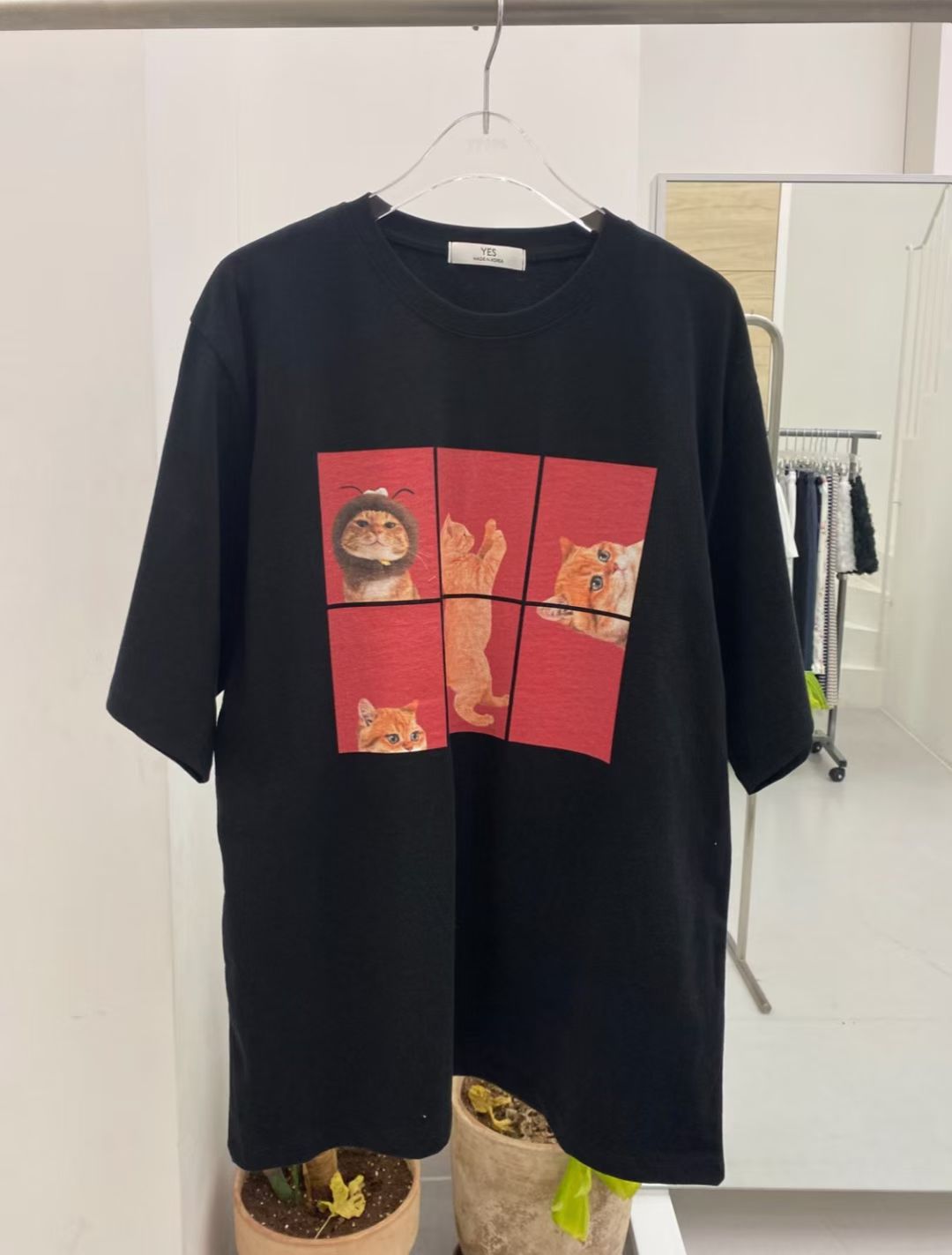 Korean APM Collection Kittens Tshirt-3 Colors (Instock)